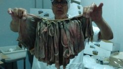 gallery/green omasum (2)