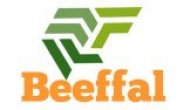 gallery/beefffallogo