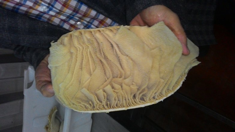 gallery/p_20150424_092600_nt